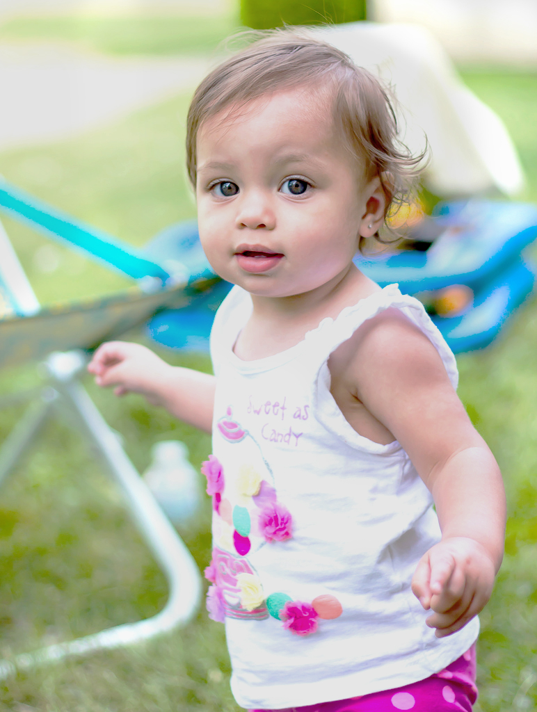 IMAGE: http://brakel.com.au/webphotos/d1.jpg